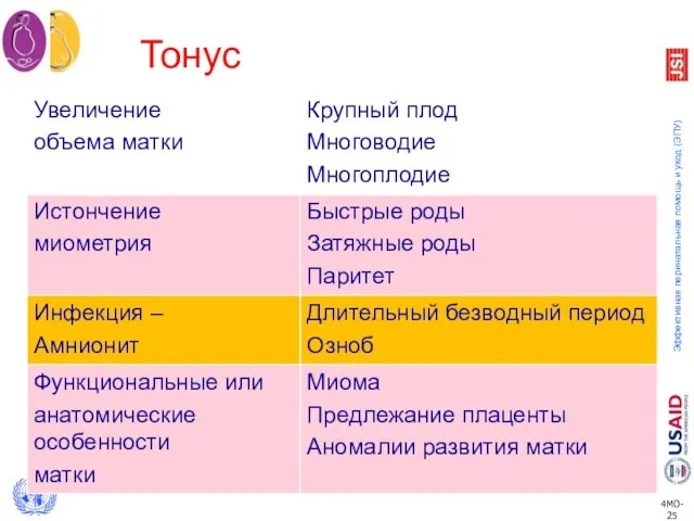 Тонус