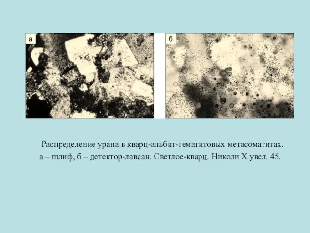 Распределение урана в кварц-альбит-гематитовых метасоматитах. а – шлиф, б – детектор-лавсан. Светлое-кварц. Николи Х увел. 45.