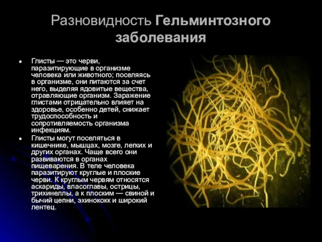 Разновидность Гельминтозного заболевания Глисты — это черви, паразитирующие в организме человека