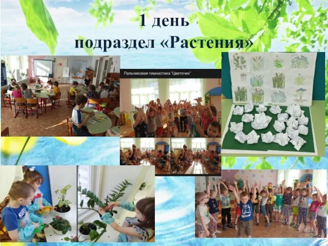 1 день подраздел «Растения»