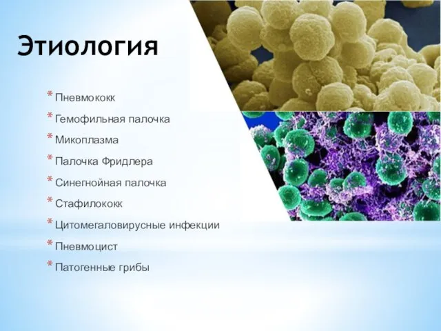 Этиология Пневмококк Гемофильная палочка Микоплазма Палочка Фридлера Синегнойная палочка Стафилококк Цитомегаловирусные инфекции Пневмоцист Патогенные грибы