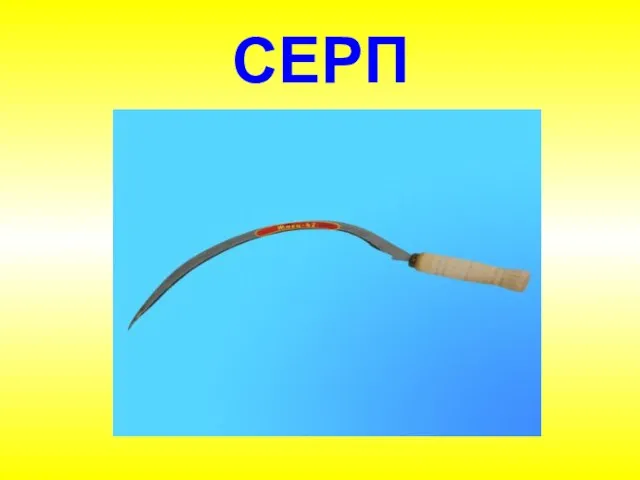 СЕРП