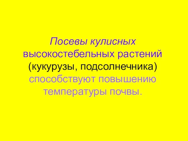 Посевы кулисных высокостебельных растений (кукурузы, подсолнечника) способствуют повышению температуры почвы.