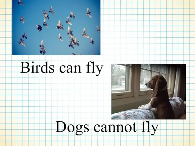 Birds can fly Dogs cannot fly