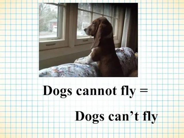 Dogs cannot fly = Dogs can’t fly