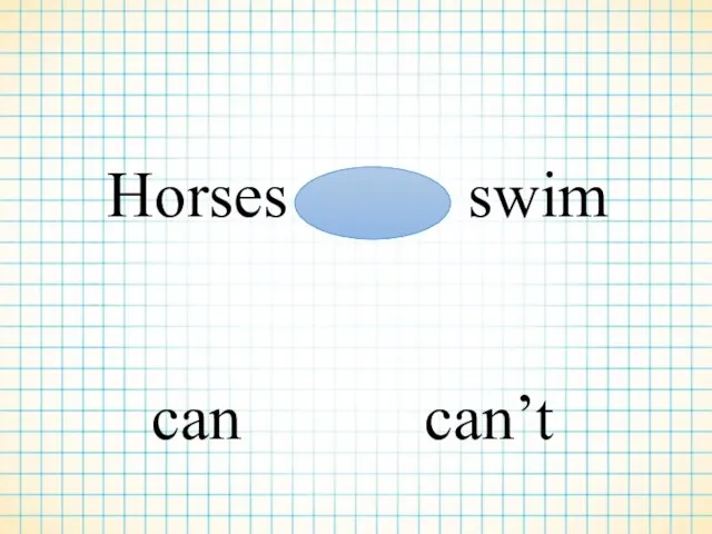 Horses swim can can’t