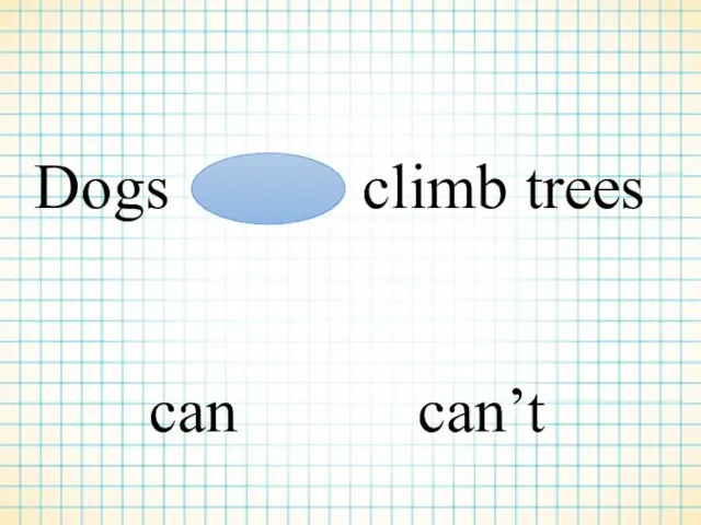 Dogs climb trees can can’t