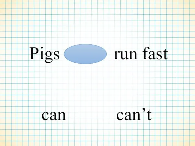 Pigs run fast can can’t