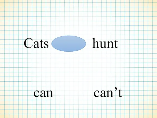 Cats hunt can can’t