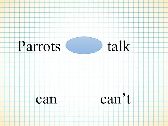 Parrots talk can can’t