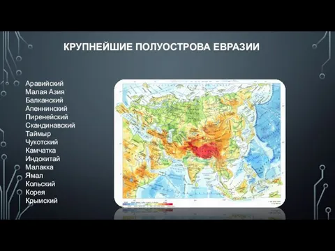 КРУПНЕЙШИЕ ПОЛУОСТРОВА ЕВРАЗИИ Аравийский Малая Азия Балканский Апеннинский Пиренейский Скандинавский Таймыр