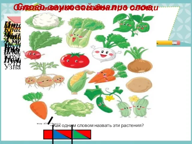 Отгадывание загадок про овощи Сидит дед во сто шуб одет. Кто