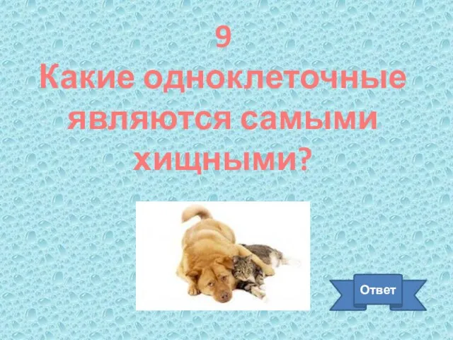 9 Какие одноклеточные являются самыми хищными? Ответ