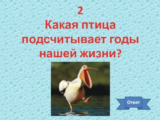 2 Какая птица подсчитывает годы нашей жизни? Ответ