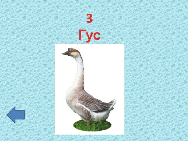 3 Гусь