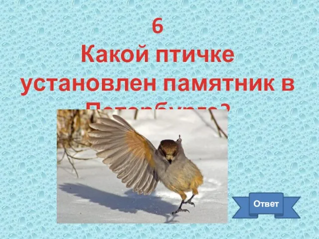 6 Какой птичке установлен памятник в Петербурге? Ответ