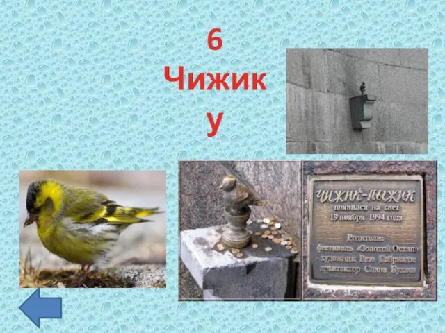 6 Чижику