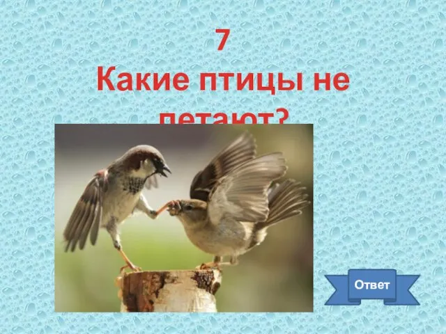 7 Какие птицы не летают? Ответ