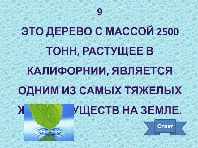 9 ЭТО ДЕРЕВО С МАССОЙ 2500 ТОНН, РАСТУЩЕЕ В КАЛИФОРНИИ, ЯВЛЯЕТСЯ