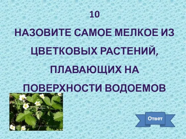 10 НАЗОВИТЕ САМОЕ МЕЛКОЕ ИЗ ЦВЕТКОВЫХ РАСТЕНИЙ, ПЛАВАЮЩИХ НА ПОВЕРХНОСТИ ВОДОЕМОВ Ответ