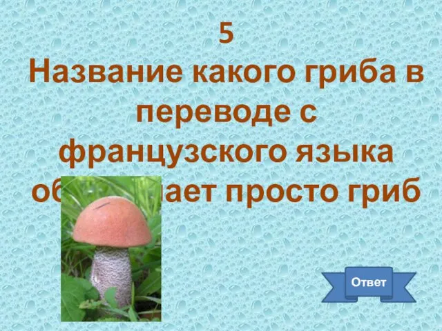 5 Название какого гриба в переводе с французского языка обозначает просто гриб Ответ