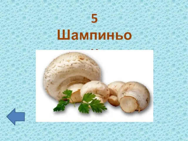 5 Шампиньон