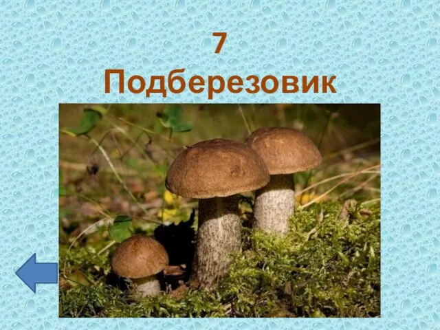 7 Подберезовики