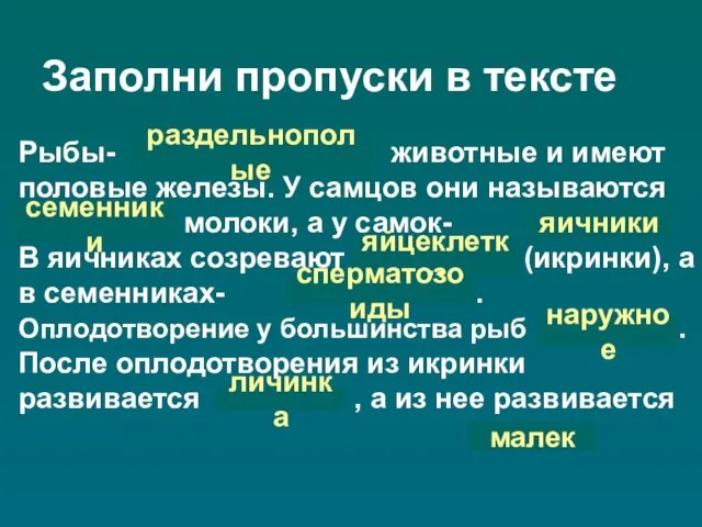 Заполни пропуски в тексте Рыбы- животные и имеют половые железы. У