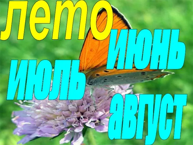 лето июнь август июль