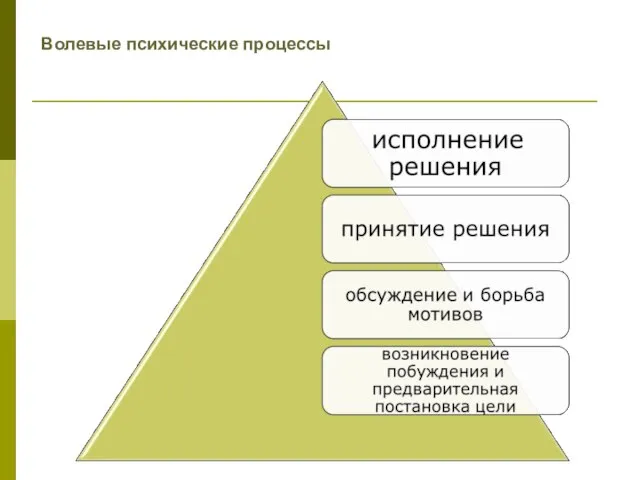 Волевые психические процессы