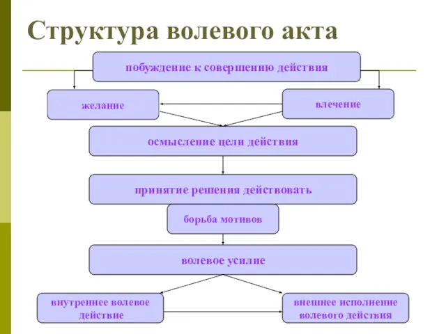 Структура волевого акта побуждение к совершению действия осмысление цели действия принятие