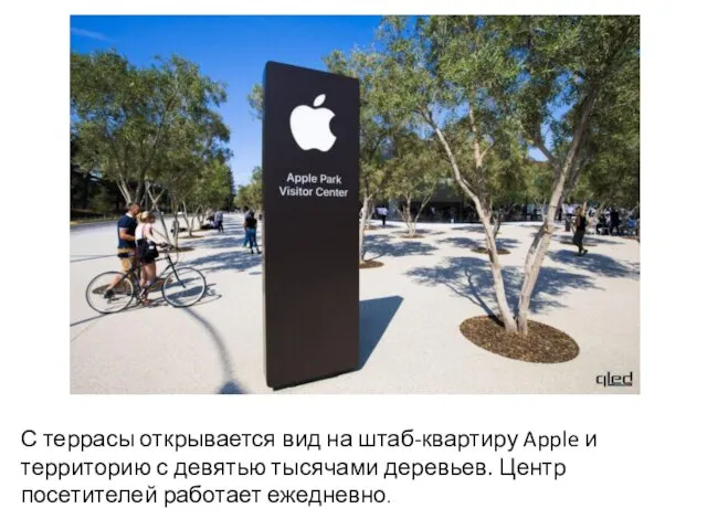 С террасы открывается вид на штаб-квартиру Apple и территорию с девятью