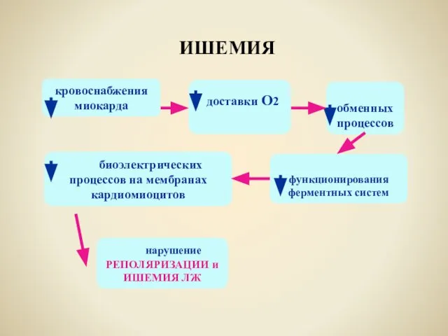 ИШЕМИЯ кровоснабжения миокарда доставки О2 обменных процессов функционирования ферментных систем биоэлектрических