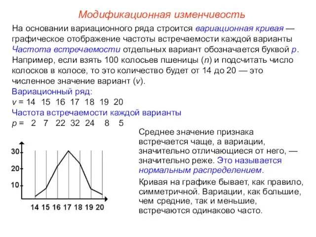 Модификационная изменчивость На основании вариационного ряда строится вариационная кривая — графическое
