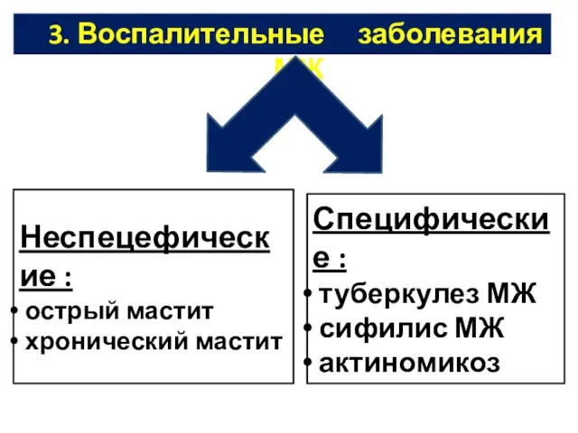 3. Воспалительные заболевания МЖ Неспецефические : острый мастит хронический мастит Специфические