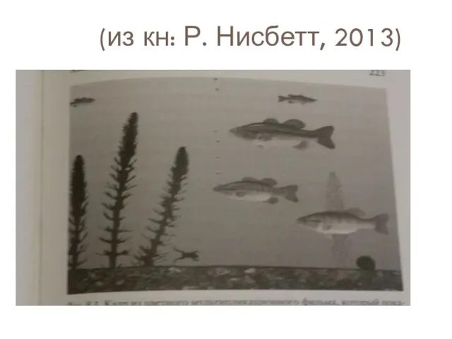 (из кн: Р. Нисбетт, 2013)