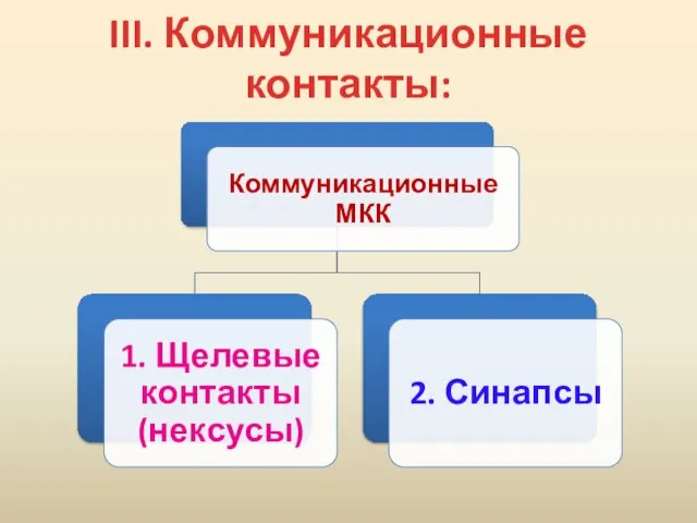 III. Коммуникационные контакты: