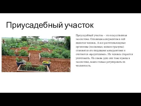 Приусадебный участок Приусадебный участок – это искусственная экосистема. Основным консументом в