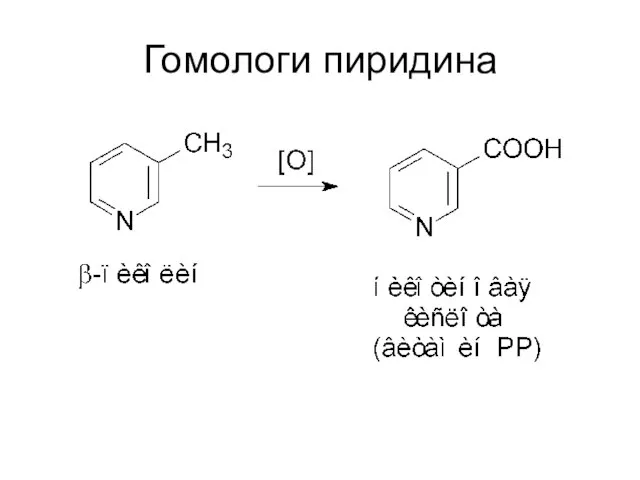 Гомологи пиридина