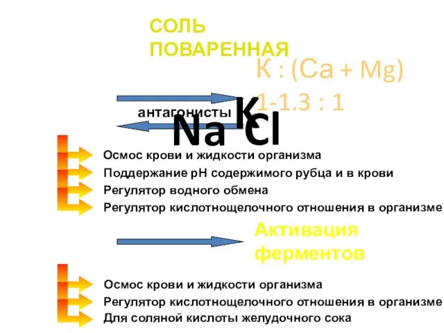 СОЛЬ ПОВАРЕННАЯ Na Cl Осмос крови и жидкости организма Поддержание рН