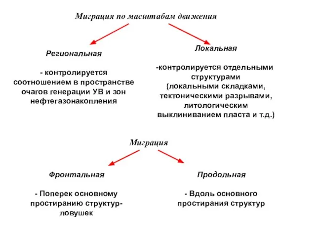 Миграция по масштабам движения Региональная - контролируется соотношением в пространстве очагов