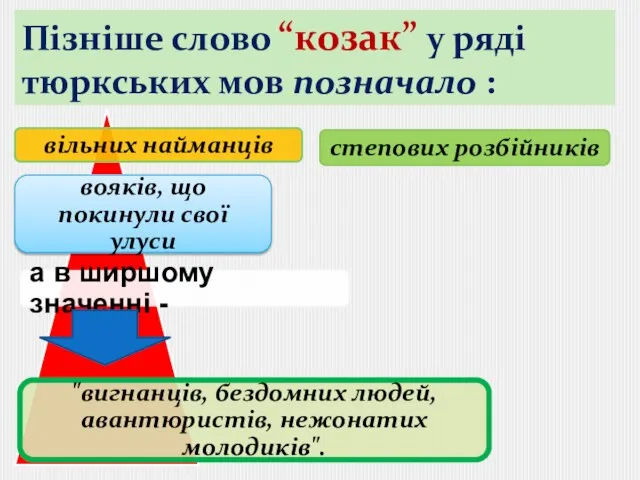 Пізніше слово “козак” у ряді тюркських мов позначало :