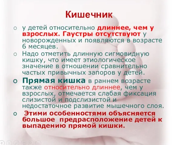 Кишечник у детей относительно длиннее, чем у взрослых. Гаустры отсутствуют у