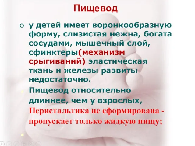 Пищевод у детей имеет воронкообразную форму, слизистая нежна, богата сосудами, мышечный