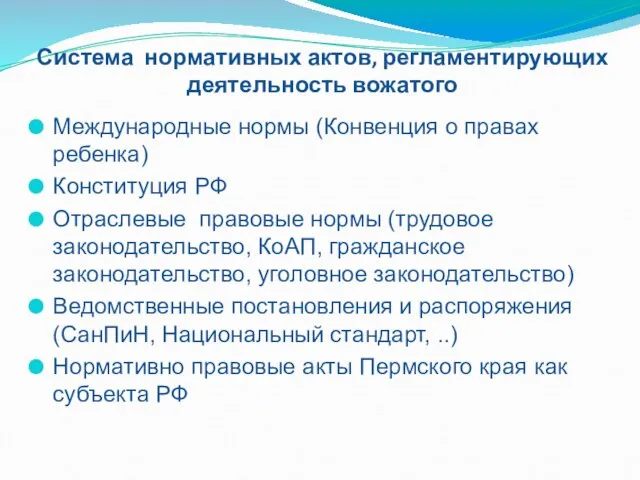 Система нормативных актов, регламентирующих деятельность вожатого Международные нормы (Конвенция о правах