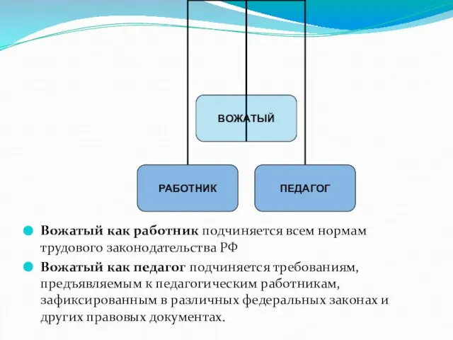 Вожатый как работник подчиняется всем нормам трудового законодательства РФ Вожатый как