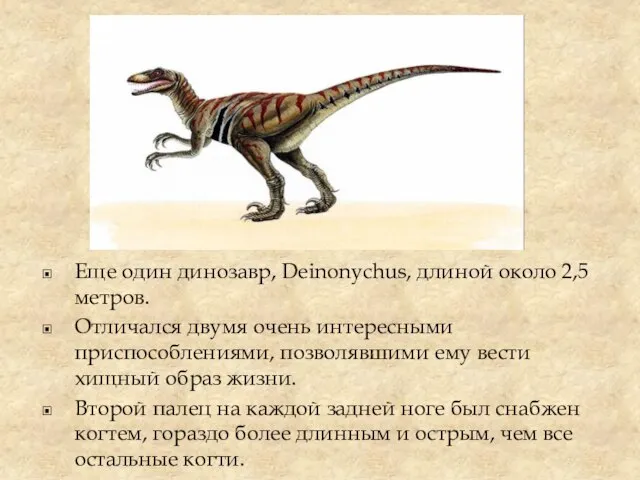 Еще один динозавр, Deinonychus, длиной около 2,5 метров. Отличался двумя очень