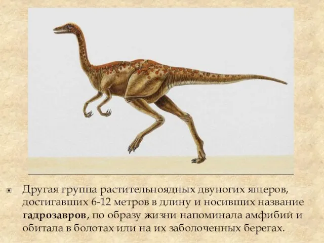 Другая группа растительноядных двуногих ящеров, достигавших 6-12 метров в длину и