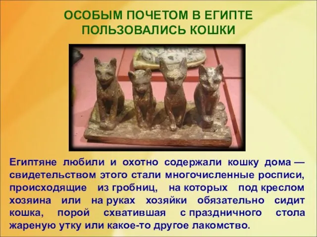 ОСОБЫМ ПОЧЕТОМ В ЕГИПТЕ ПОЛЬЗОВАЛИСЬ КОШКИ Египтяне любили и охотно содержали