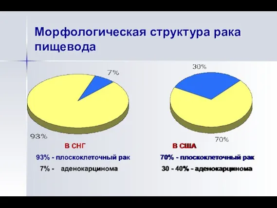 Морфологическая структура рака пищевода В СНГ В США 93% - плоскоклеточный